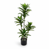 Artificial Accent Red Green Dracaena Plant - 3 ft (90 cm)